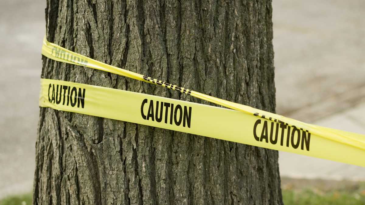 Reports: Woman and four children dead in apparent murder-suicide