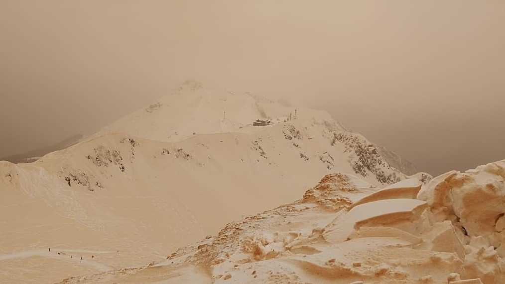 Why the snow near a lake in Utah is turning pink - Vimarsana News