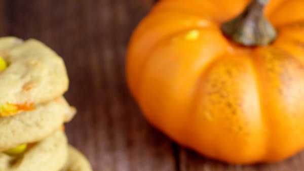new-orleans-baker-food-network-halloween-cookie-challenge