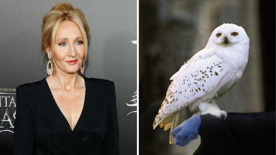 JK Rowling and Hedwig