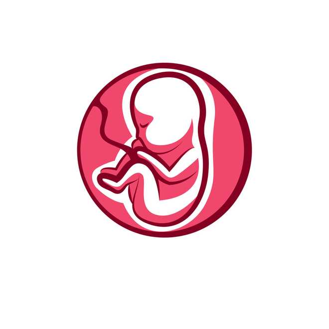 diagram&#x20;of&#x20;baby&#x20;in&#x20;womb