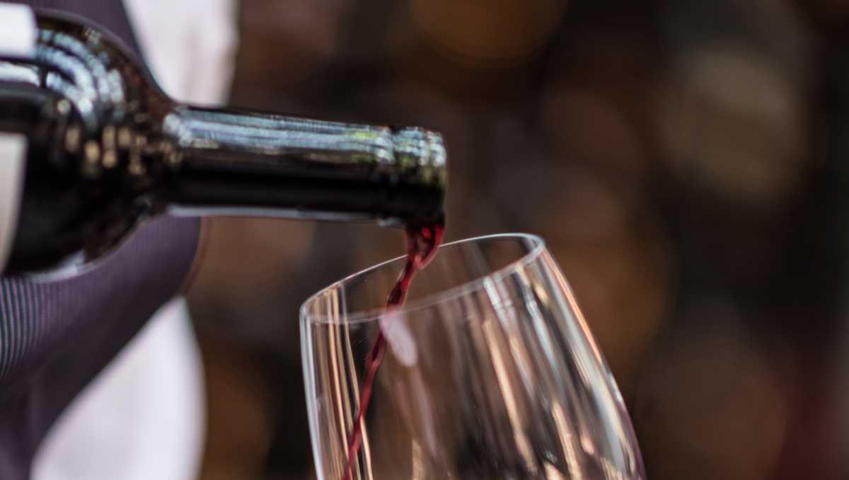 UMass Amherst launches studentrun sustainable vineyard