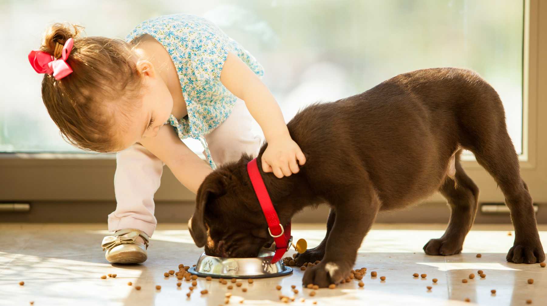 are puppies good for kids