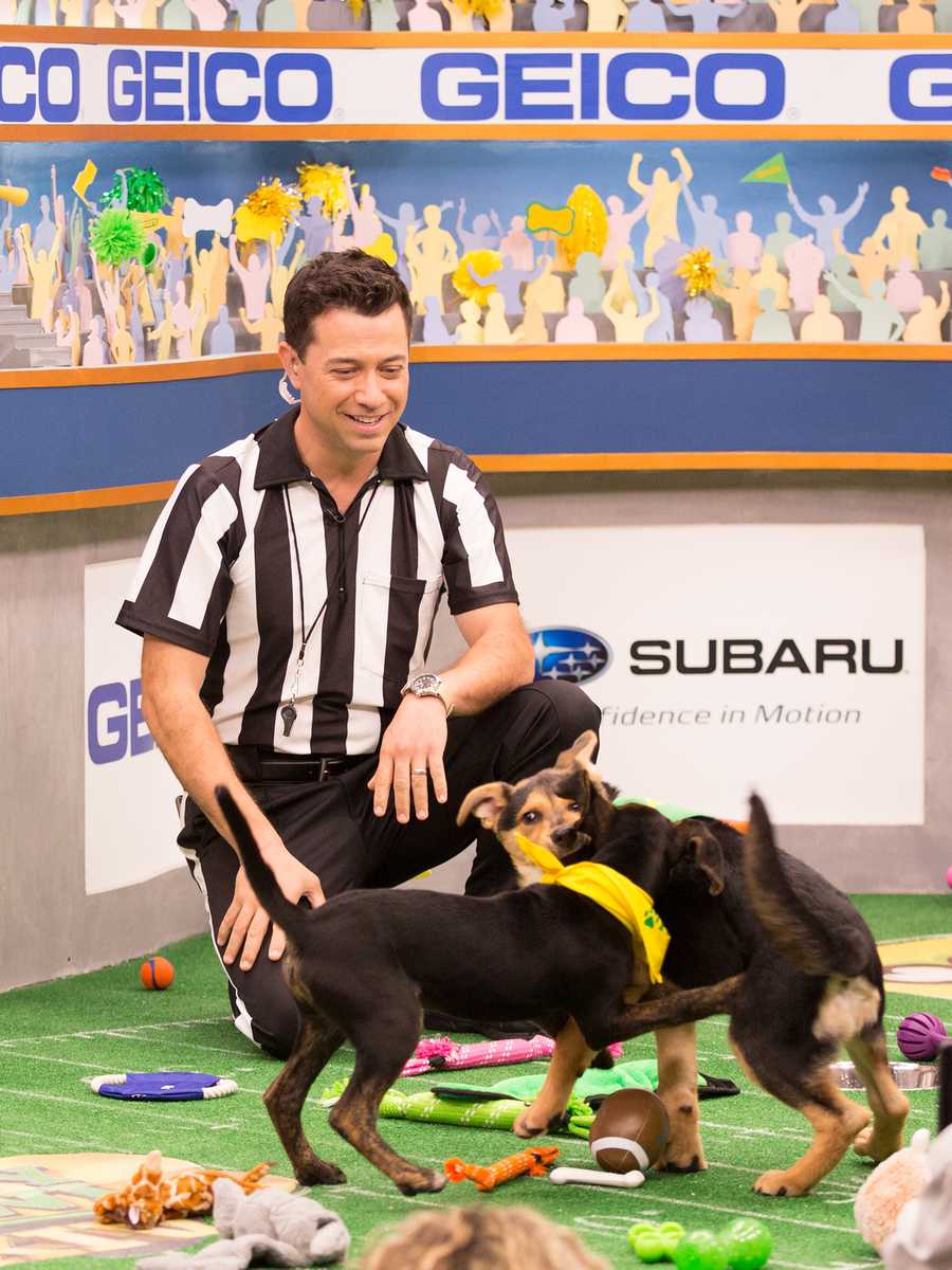 Behind the scenes at the puppy bowl 2018