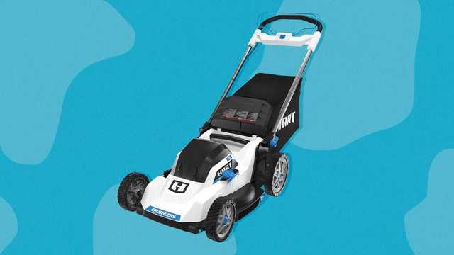 The 6 Best Small Lawn Mowers of 2023 - Small Electric Lawn Mowers - Vimarsana News