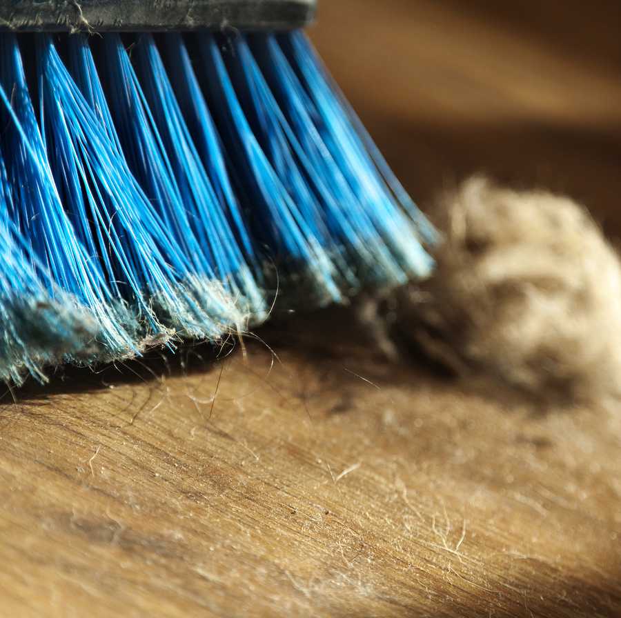 broom, dust and fur ball on parquet floor