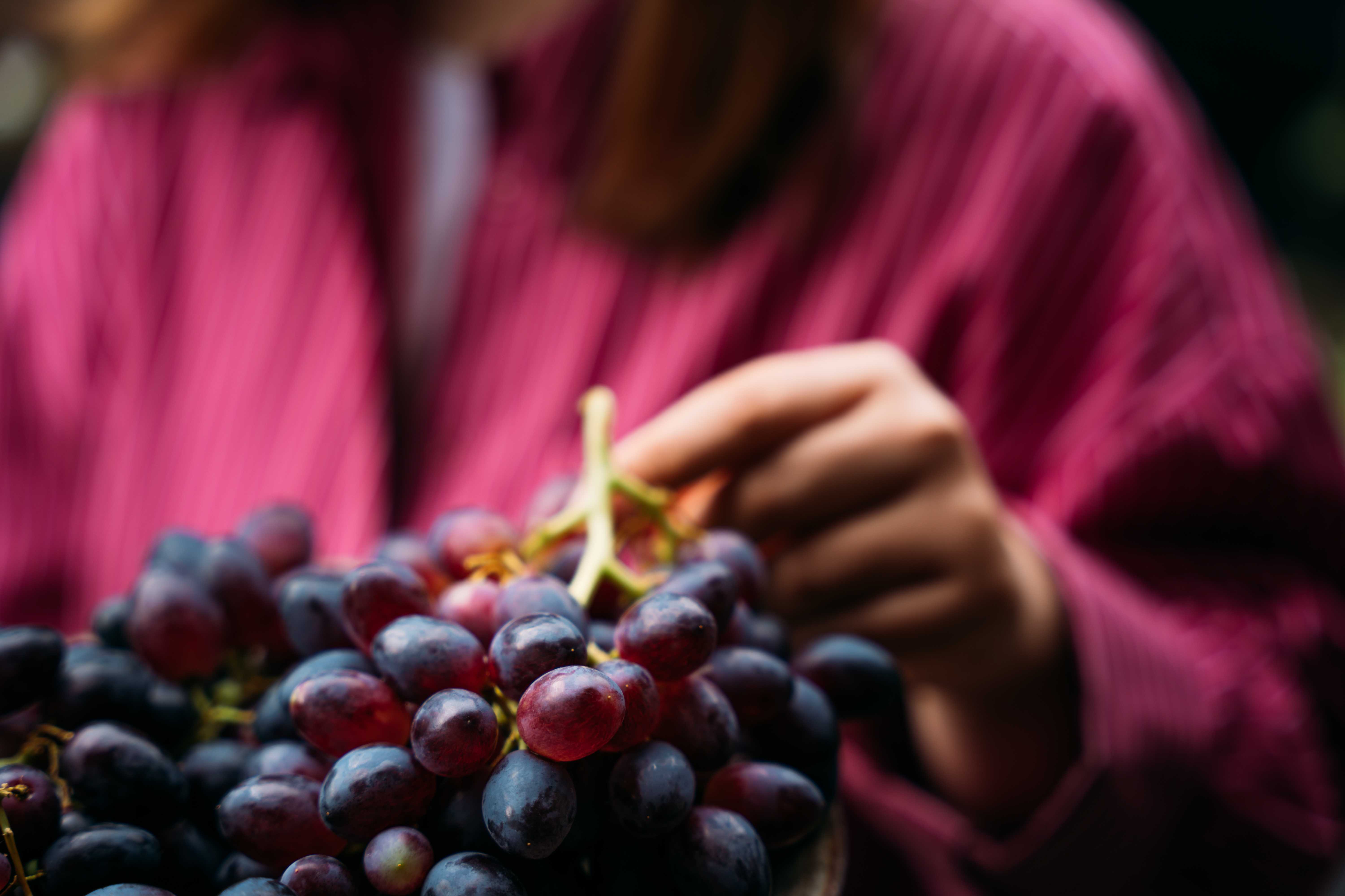 Are grapes actually good for you? Dietitians share the pros and cons