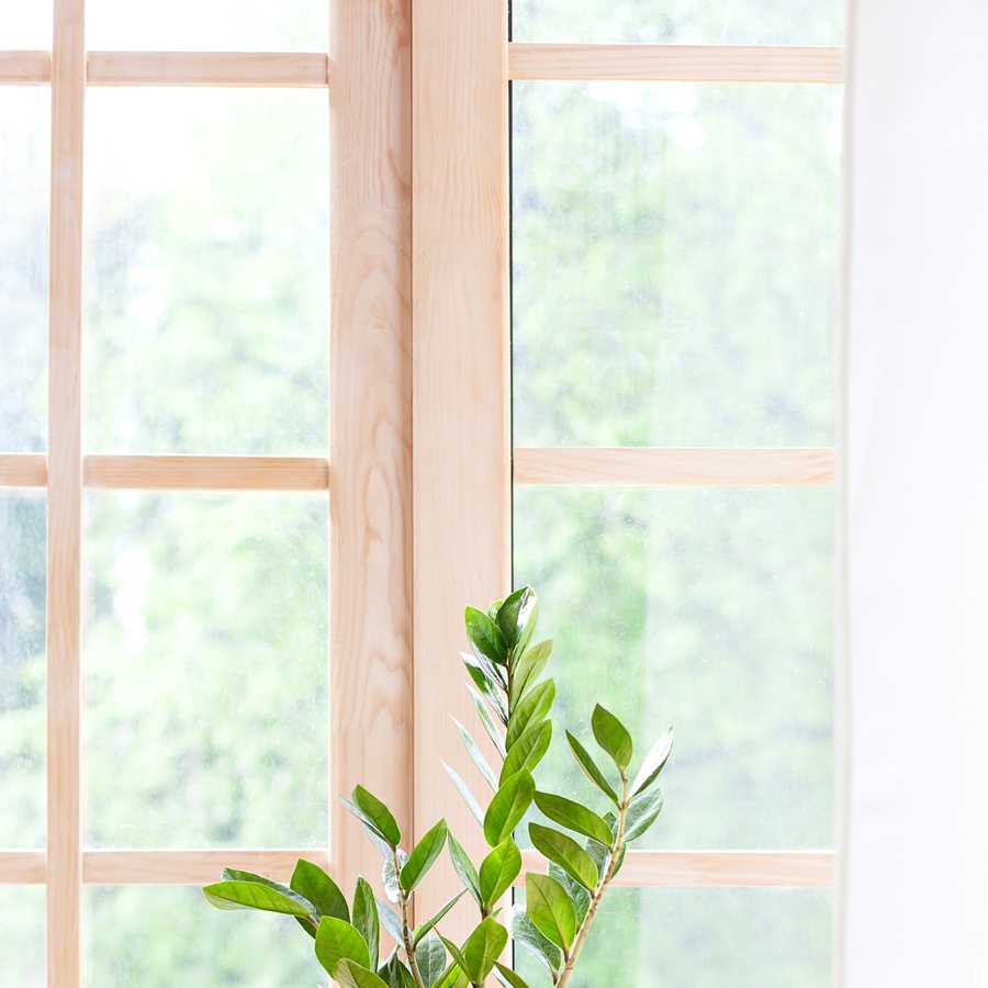 zz plant in woven planter sitting in a bedroom window