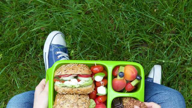 8 Best Kids' Lunch Boxes of 2023, Reviewed by Experts - Vimarsana News