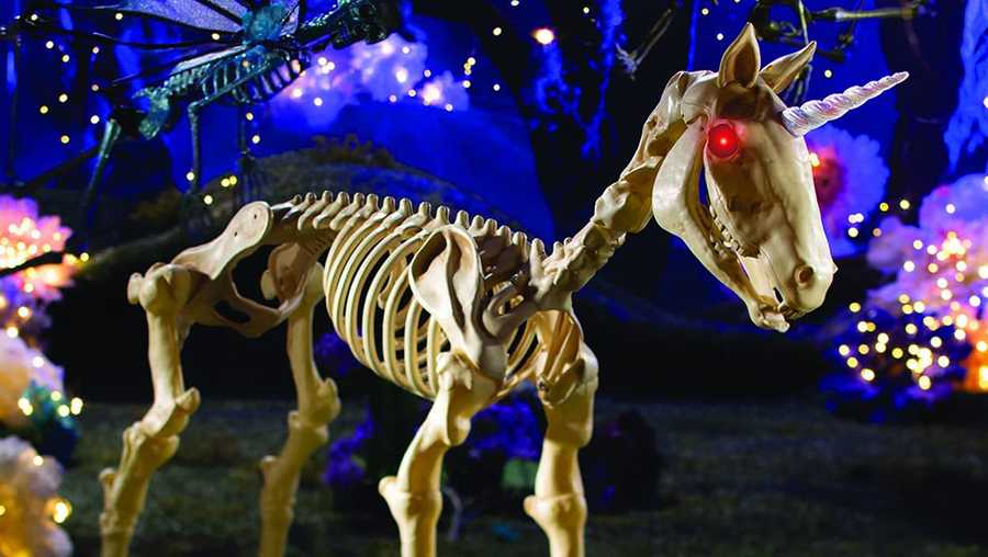 fun express unicorn skeleton halloween decoration