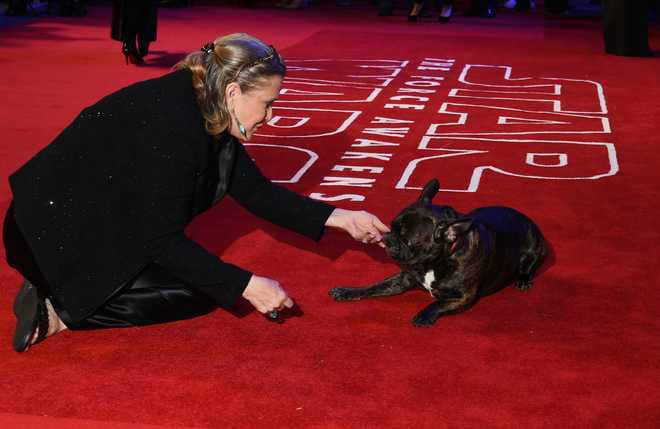 carrie&#x20;fisher&#x20;dog&#x20;gary