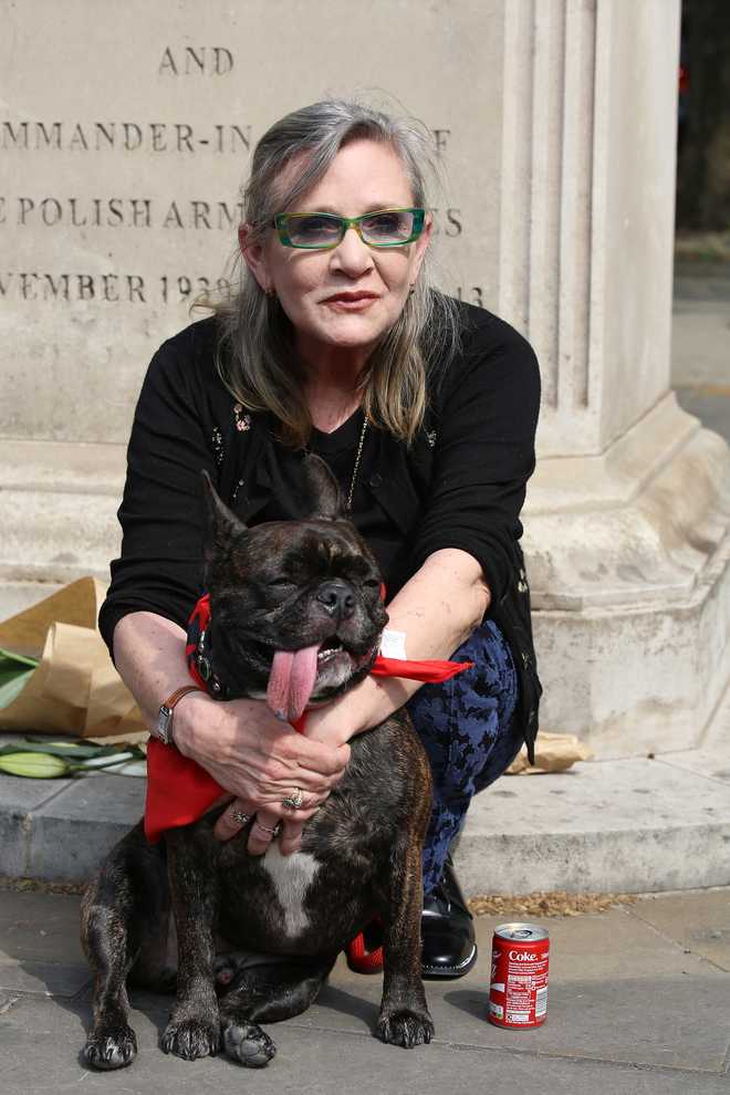 carrie&#x20;fisher&#x20;dog&#x20;gary