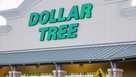 Dollar tree viral ceramic Christmas tree, Florida, Spring Hill, Nature Coast Commons dollar tree