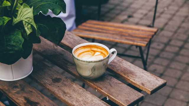 You should be watering your plants with your leftover coffee - Vimarsana News