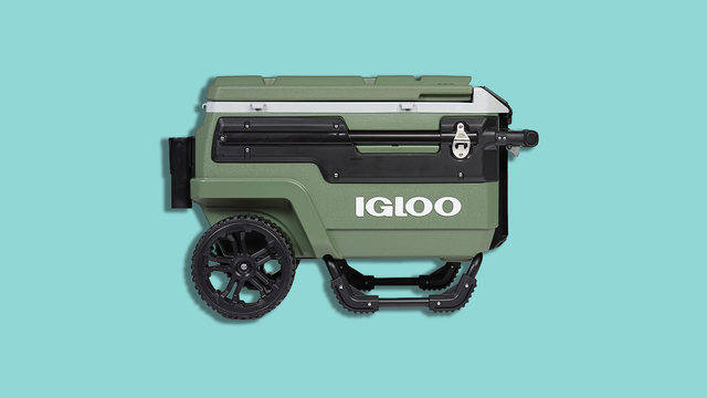 6 Best Coolers of 2023, Tested & Reviewed by Experts - Vimarsana News