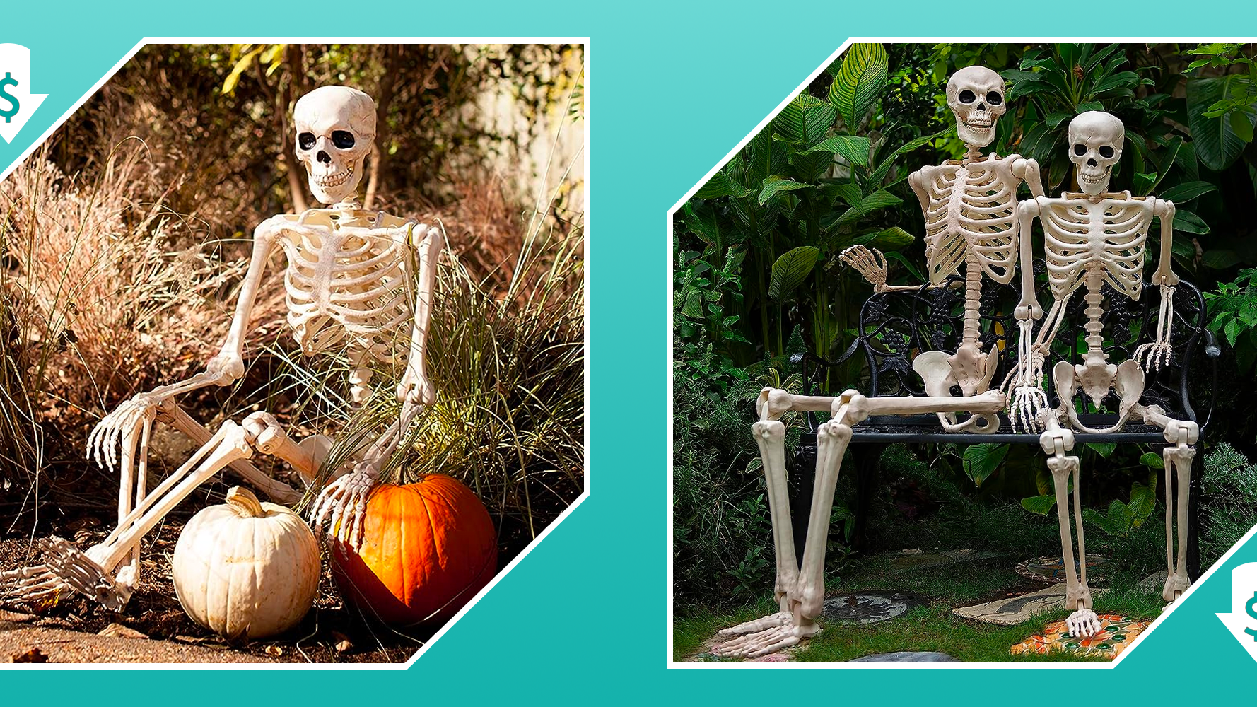 This under-$100 6-foot posable skeleton on Amazon talks and laughs - Vimarsana News