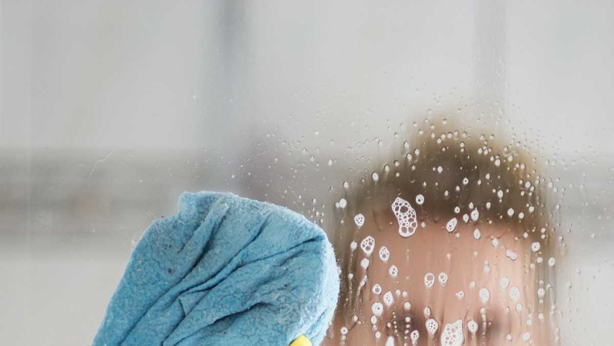 How To Get Rid of Mold in the House Mold Cleaning Tips