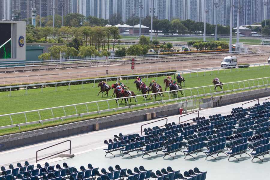 Chinese New Year Raceday 2020 at Sha Tin Racecourse Chinese New Year Raceday 2020 at Sha Tin Racecourse