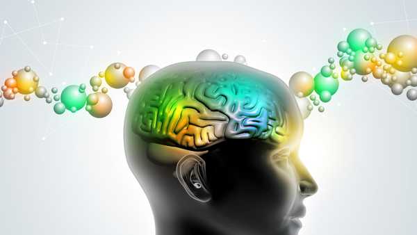 man head showing the human brain