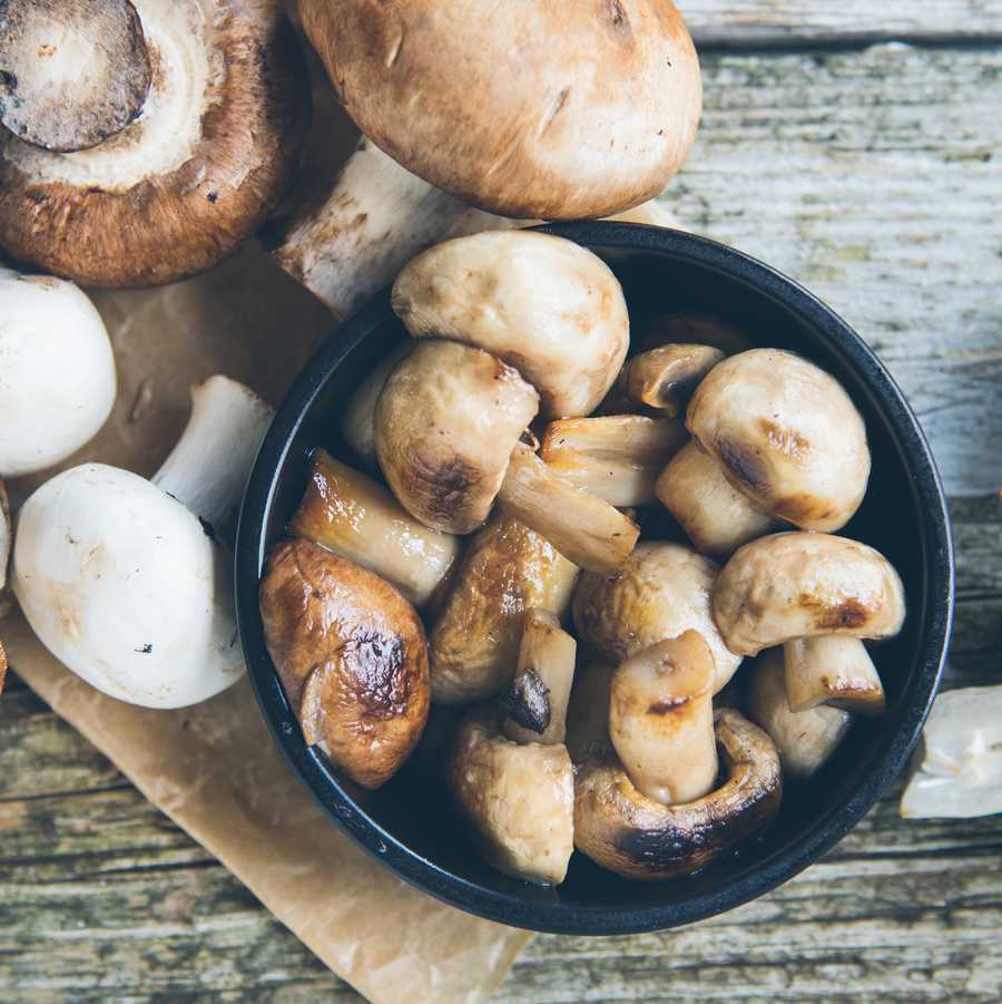 Mushrooms Mushrooms