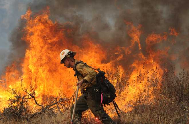 a firefighter pulling a hose in front of a forest fire