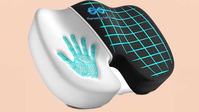 5 best seat cushions, according to experts - Vimarsana News