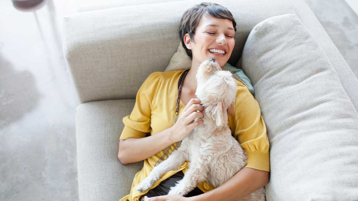 How to show your pet love without dishing out treats