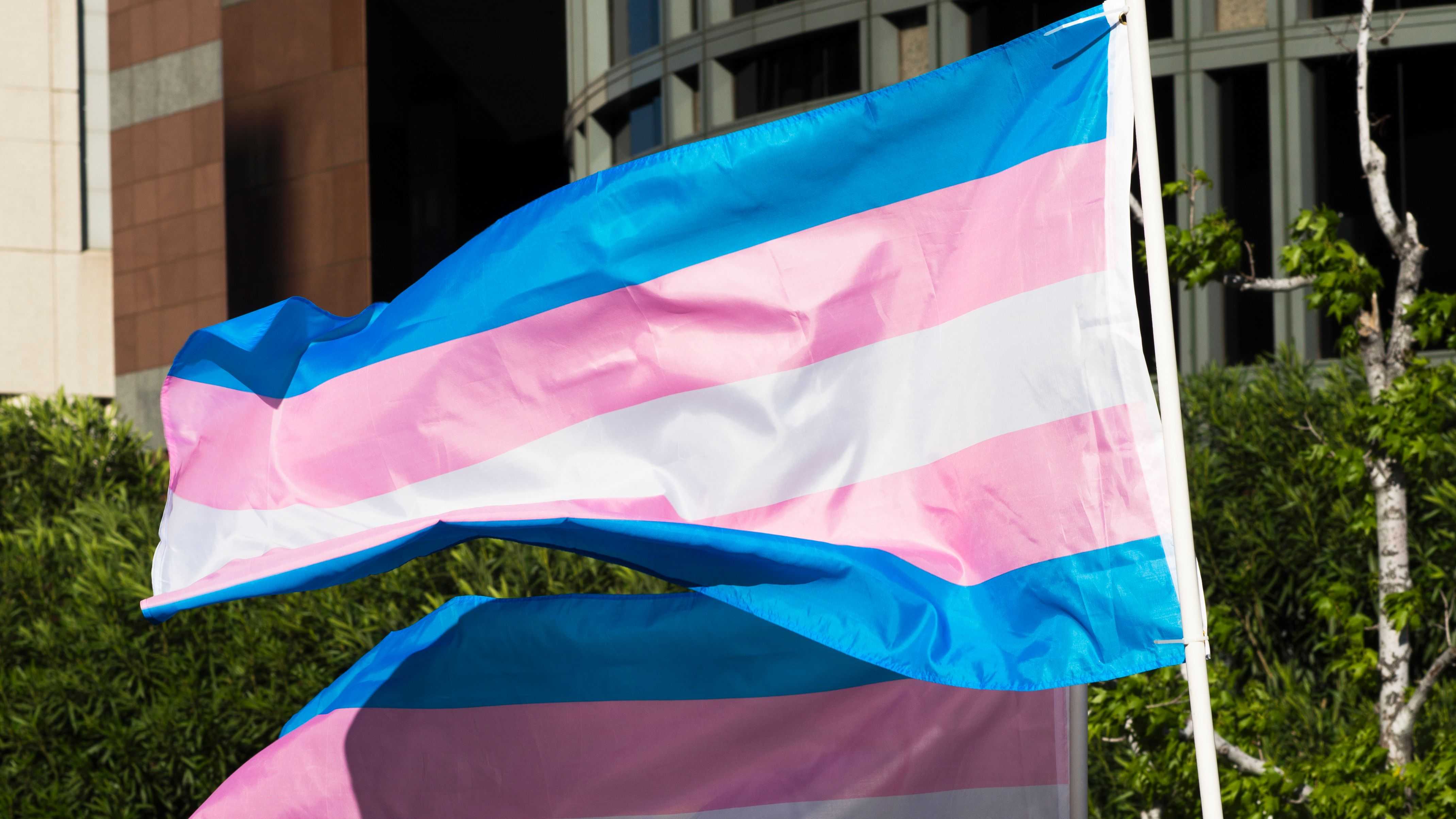 Transgender Flag: Colors & Meaning Behind Each One - Vimarsana News