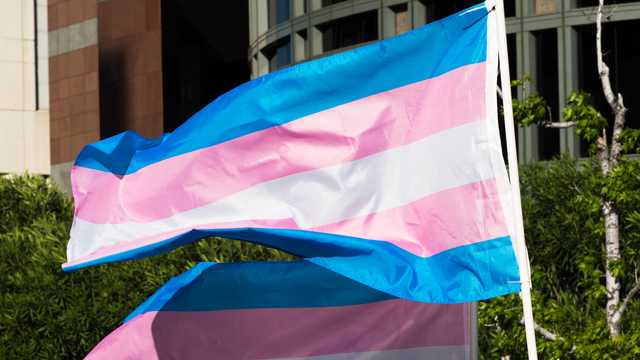 Transgender Flag: Colors & Meaning Behind Each One - Vimarsana News