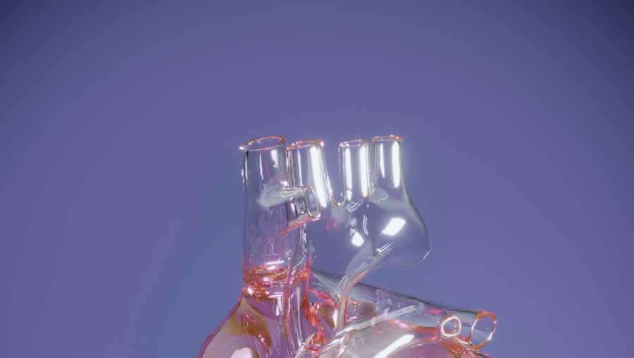 transparent human heart with glowing vessels