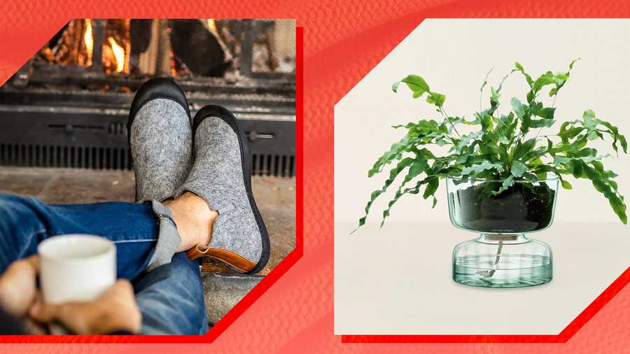 person with felt slippers resting next to fire and plant in glass self watering planter