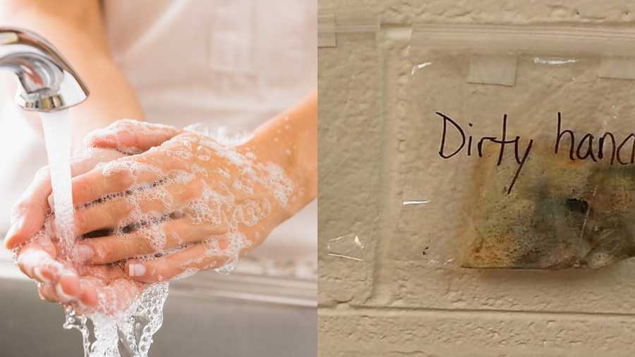 This gross experiment will make you NEVER forget to wash your hands again