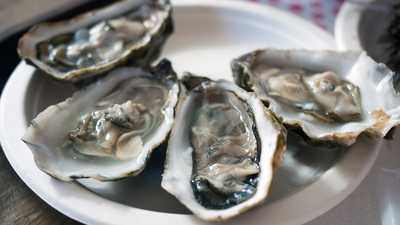 27 people are sick, 5 hospitalized in multistate raw oyster recallwdsu
