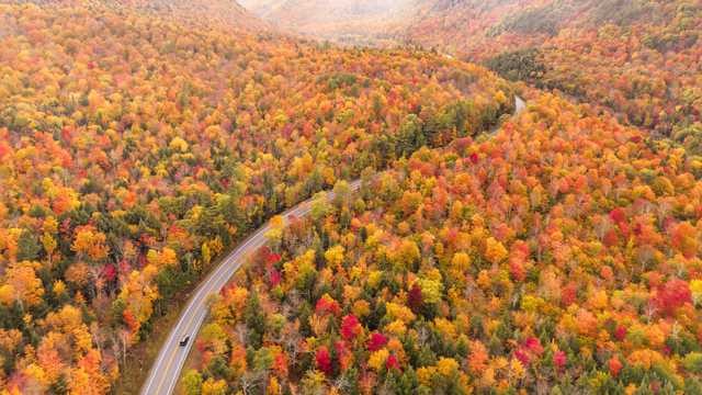 Peak fall foliage may happen later this year. Here's when to catch it