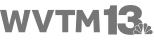 logotipo de WVTM