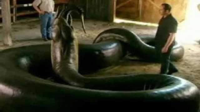 biggest snake fossil ever found