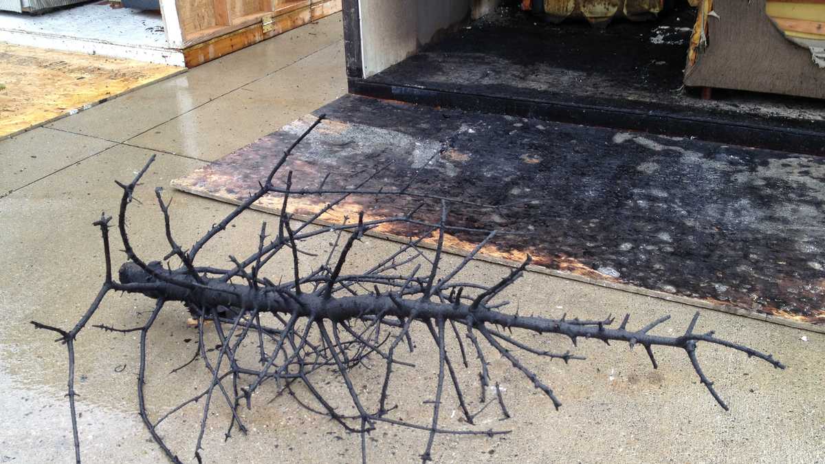 Photos How fast does a dry Christmas tree catch fire?