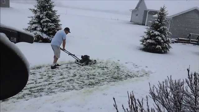 Mowing lawn in discount winter