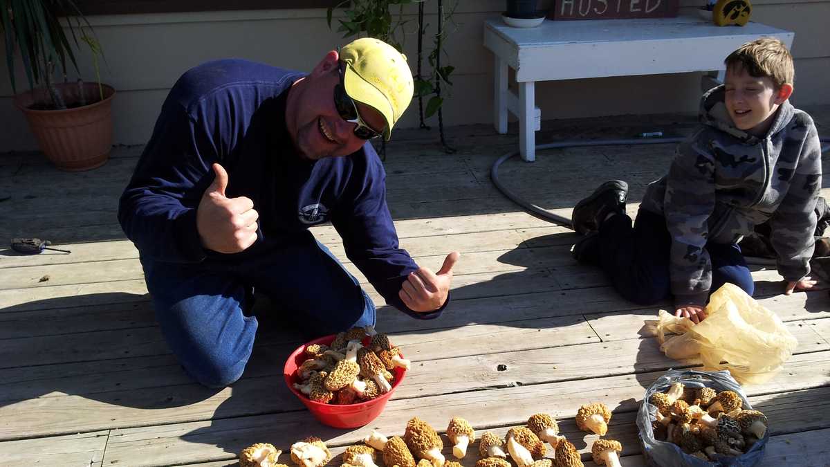 Photos The hunt for Iowa's morel mushrooms