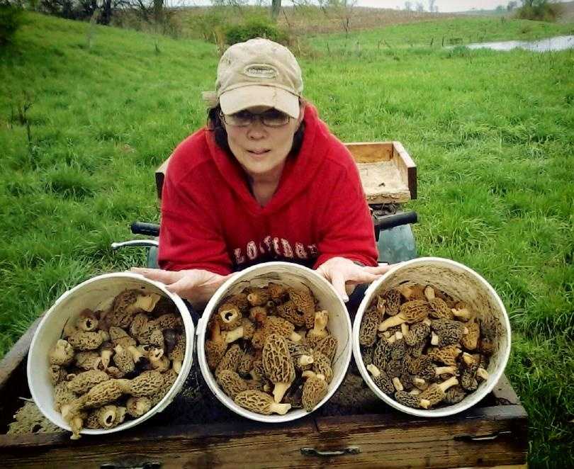 Photos The hunt for Iowa's morel mushrooms