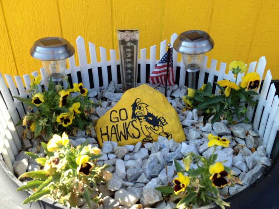 Photos Check out this Hawkeye House!