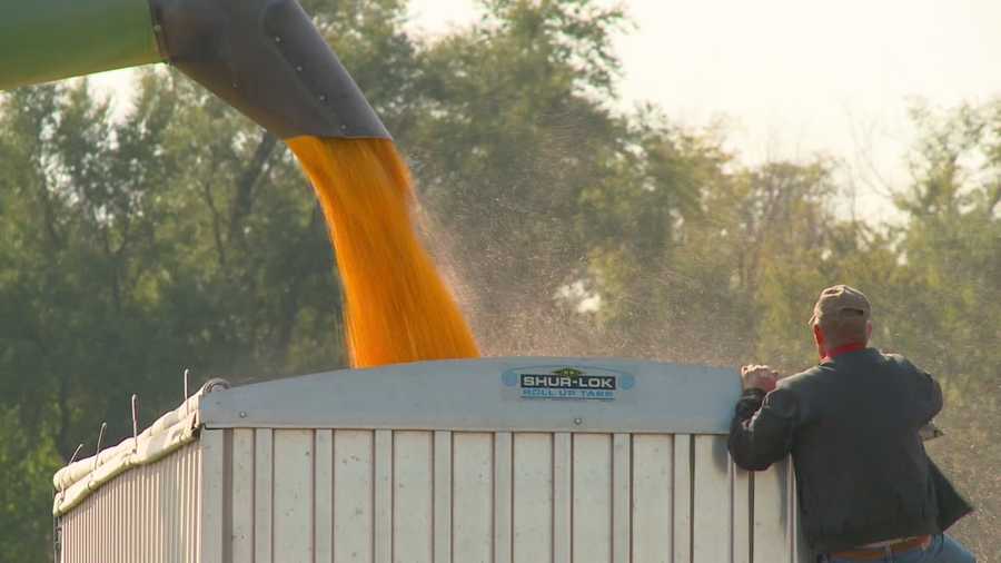 A month after a man dies, neighbors come together to help a family through the harvest.