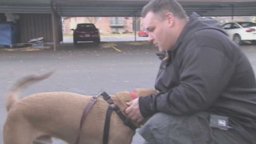 An Iowa veteran and his service dog were reunited Tuesday.