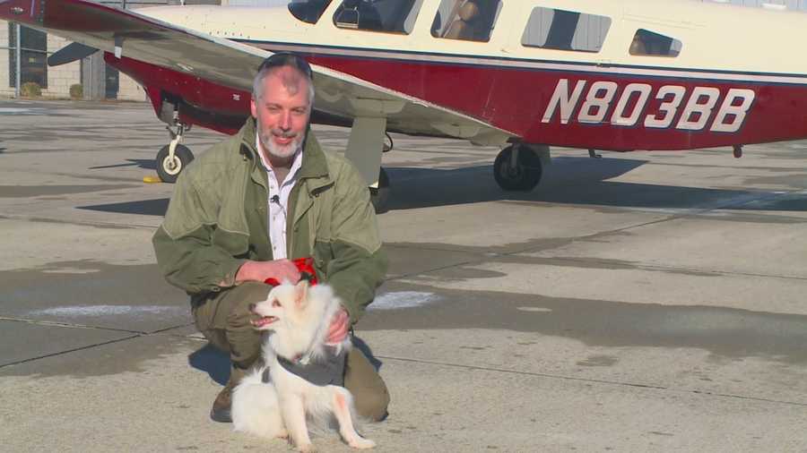 An unusual special-needs dog landed at the Ankeny airport Sunday as part of a program called Pilots and Paws.