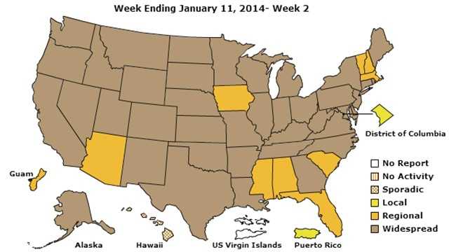 Centers for Disease Control showing widespread flu cases in brown, regional in yellow.