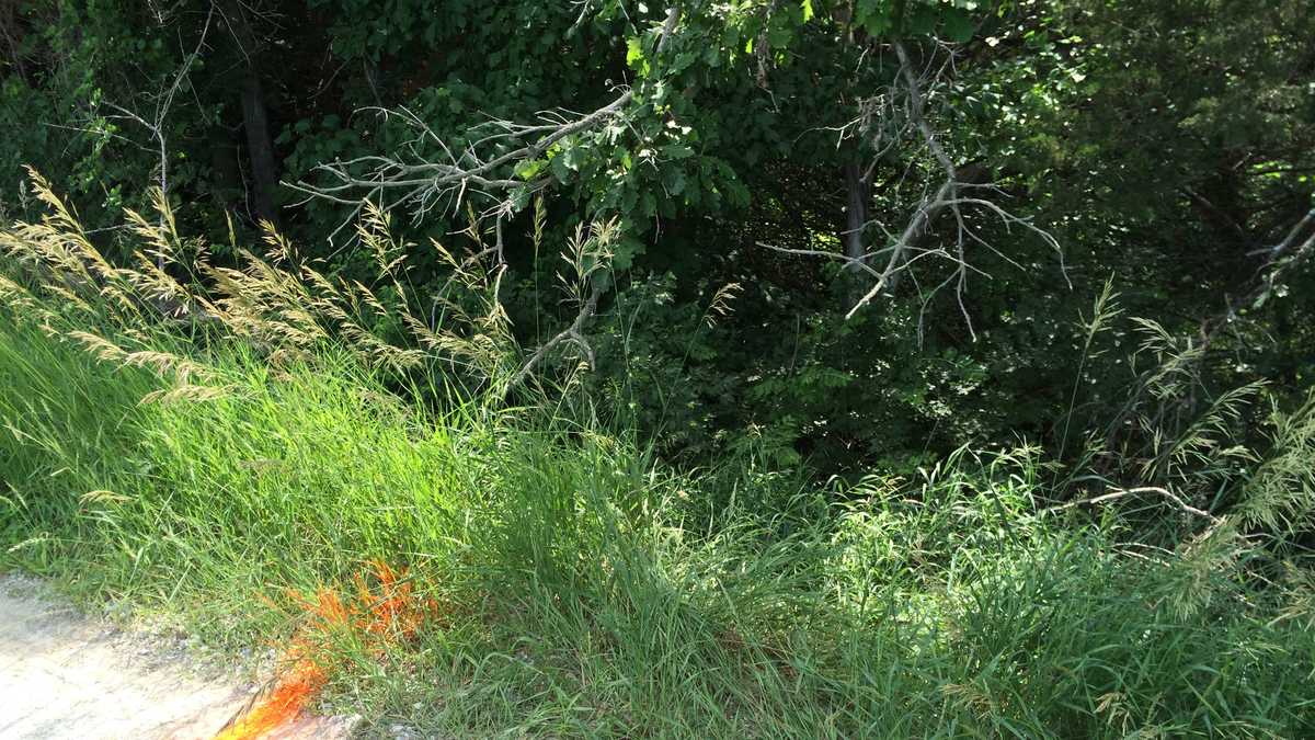 Toddler found face down in ditch filled with water