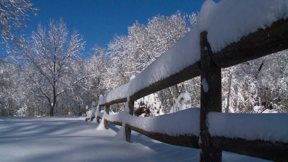 Photos The beauty of a blizzard in Iowa