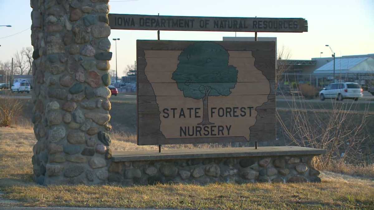State’s largest nursery could be on the chopping block