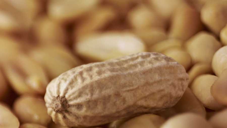 PeanutsOne of the most common allergies is to peanuts. The most severe response is anaphylaxis, which can lead to severe constriction of the airways, shock, and even loss of consciousness. It is dangerous enough to cause death if left untreated, so know your allergies before stepping anywhere near these babies or their addictive friend, peanut butter.