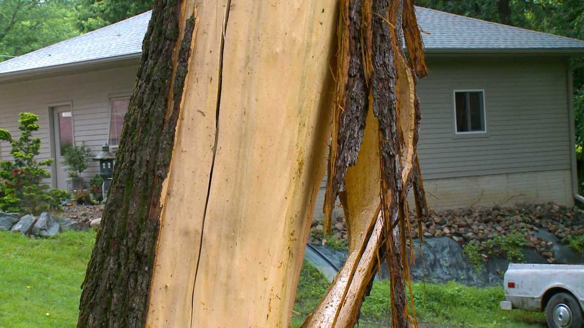 Tree explodes in lightning strike